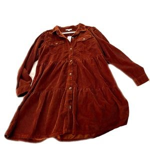 American Eagle fall dress. New with tags.